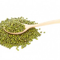 Mung Bean