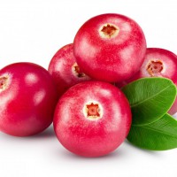 Cranberry