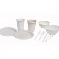 BIODEGRADABLE CORN WARE