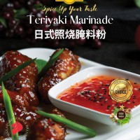 Teriyaki Marinade Powder