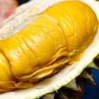 Frozen/Fresh Whole Fruit Musang King AA A & B