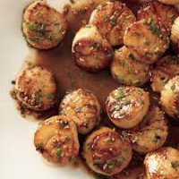 Scallops